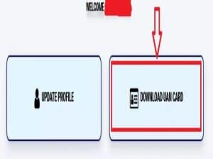 E shram card download pdf uan number |  e-Shram Card Download PDF In Gujarati | ઇ શ્રમ કાર્ડ ડાઉનલોડ